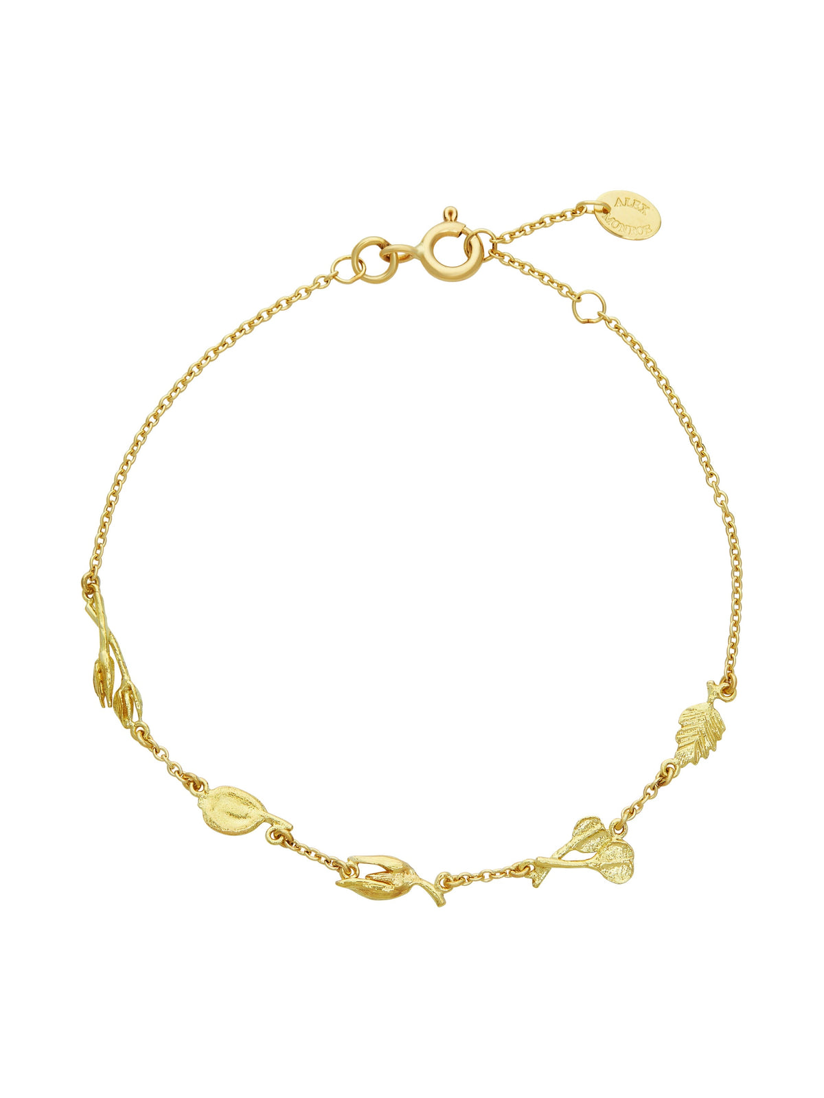 Autumn Stroll Bracelet with Five Inline Seeds