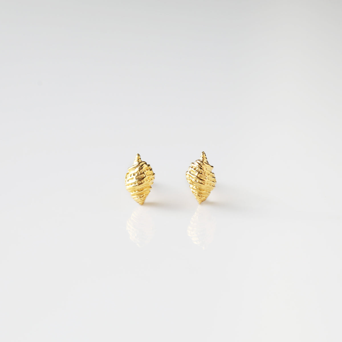 Conch Shell Studs Earrings