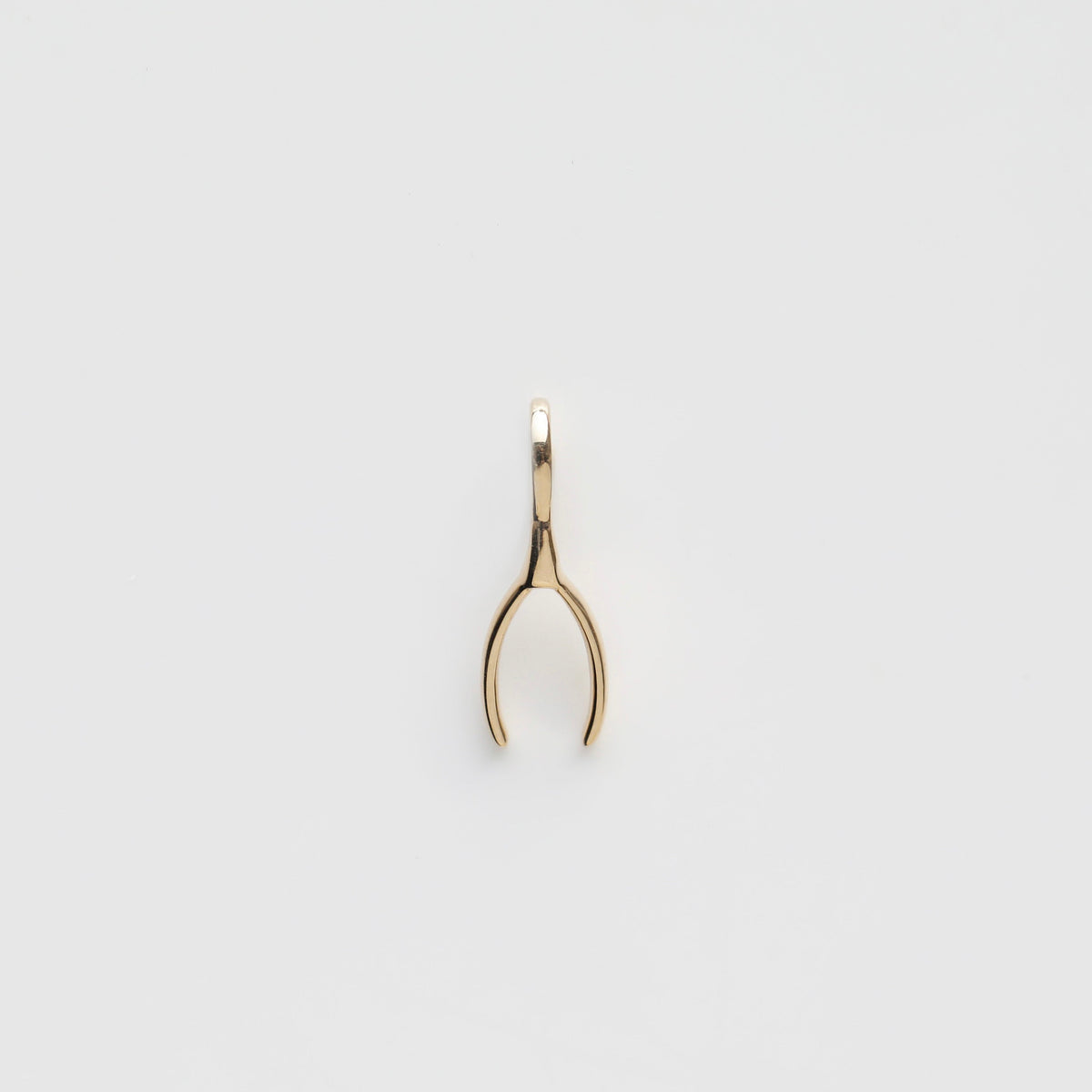 Treasured Wishbone Charm