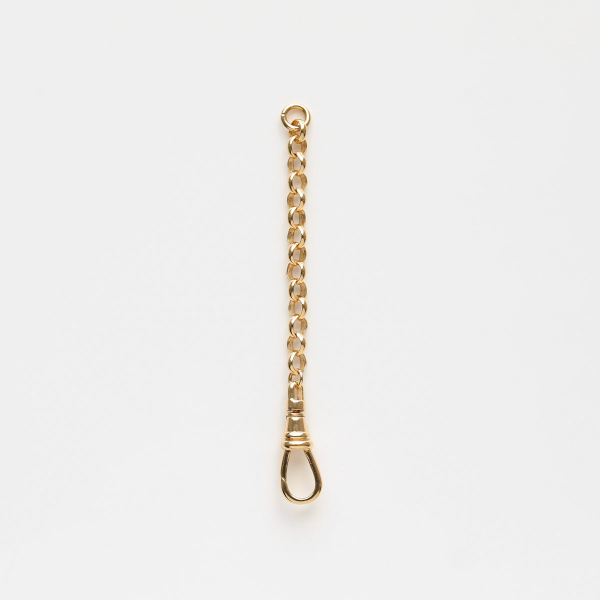 Albert Dog Clip Extender Chain