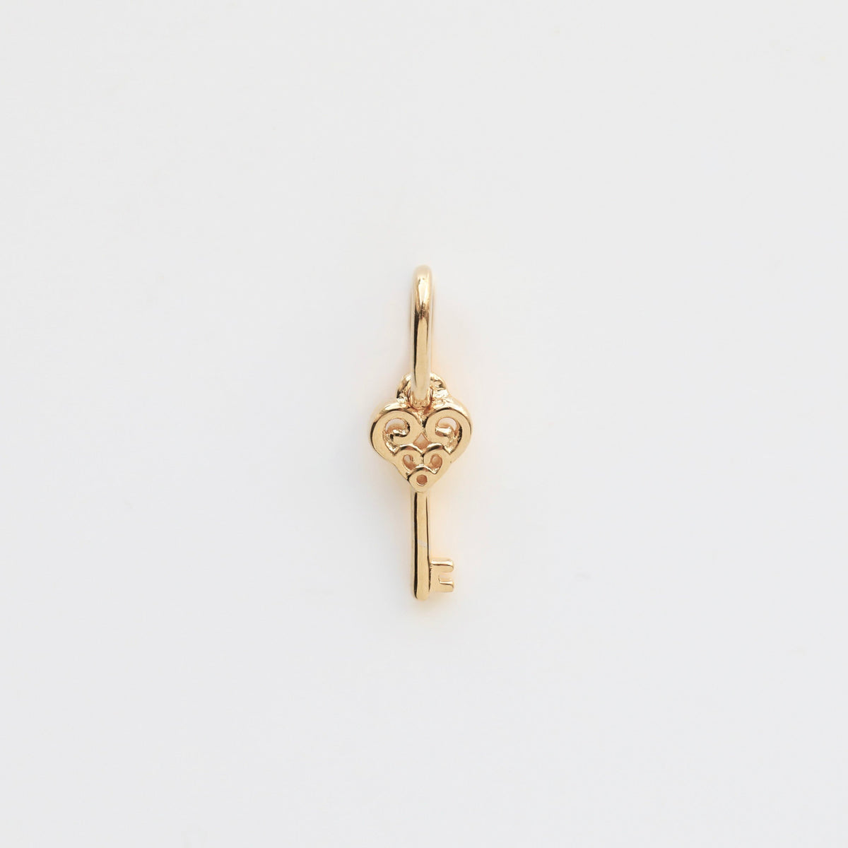 Treasured Key Charm