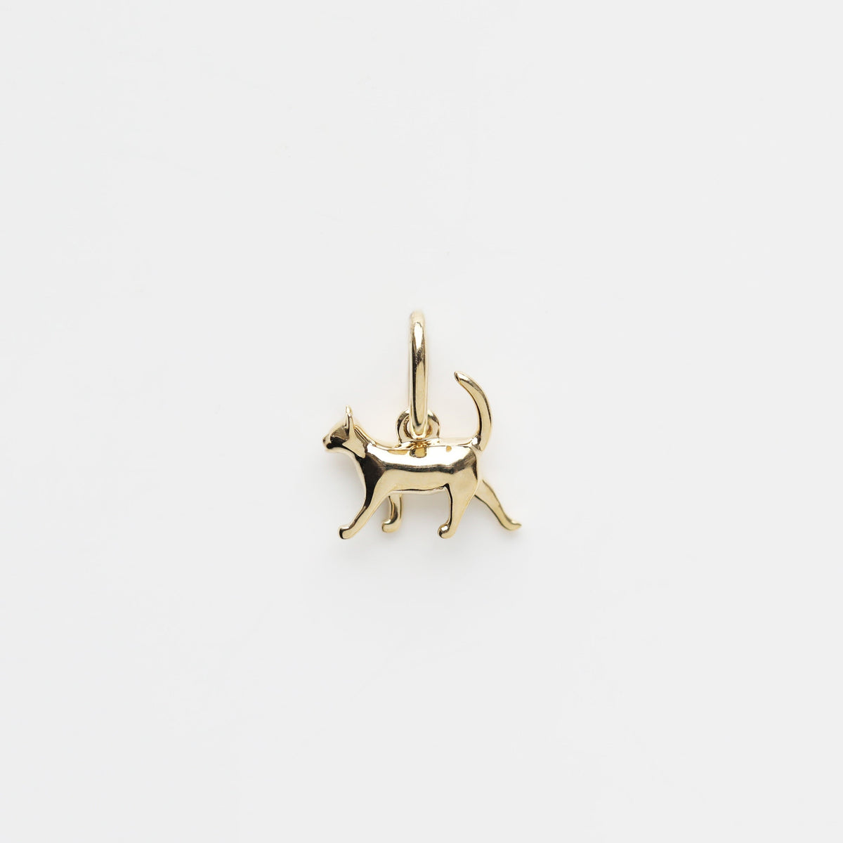 Treasured Cat Charm