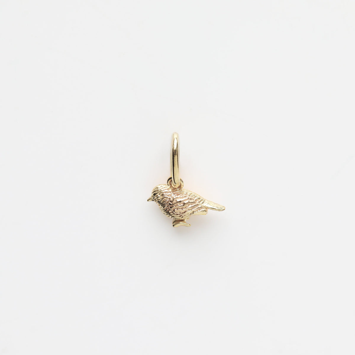 Treasured Robin Charm