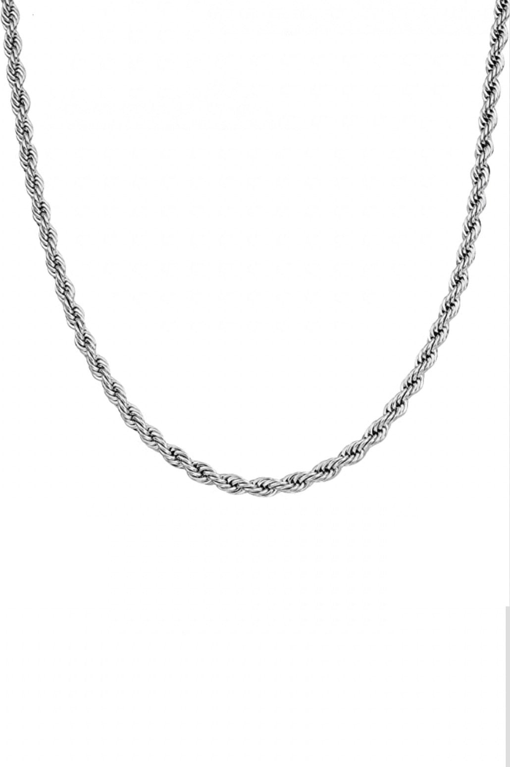 Silver Twist Chain Necklace