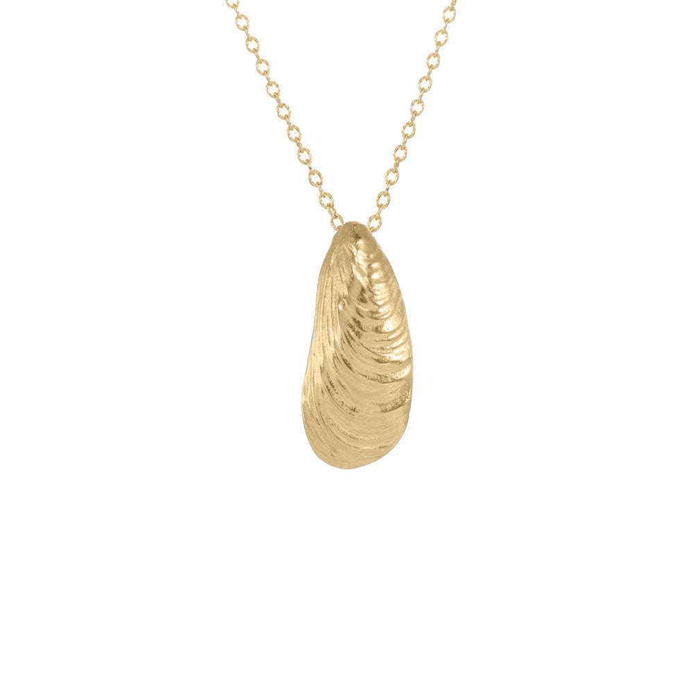 Small Serenity Shell Necklace