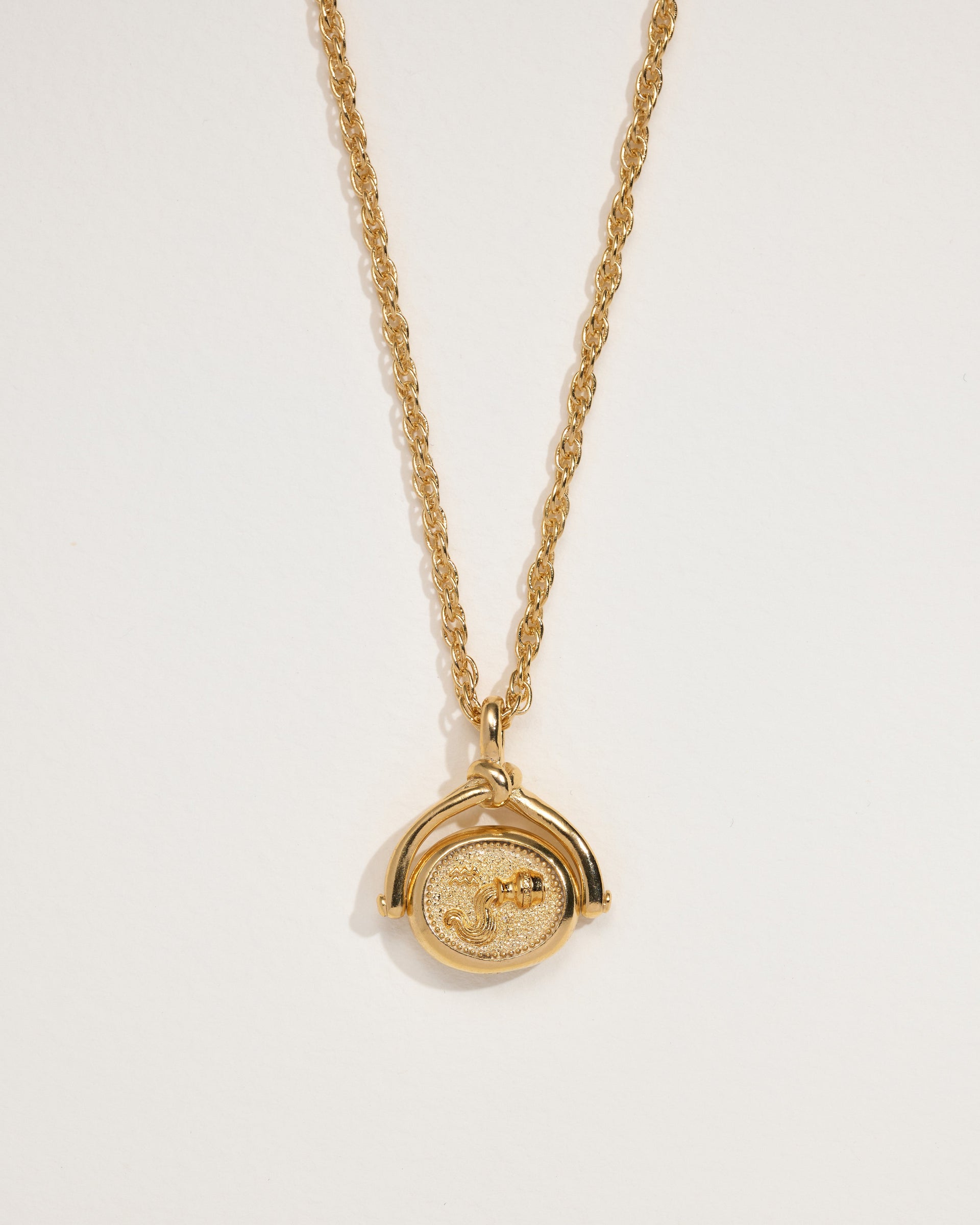 Aquarius Spinner Pendant