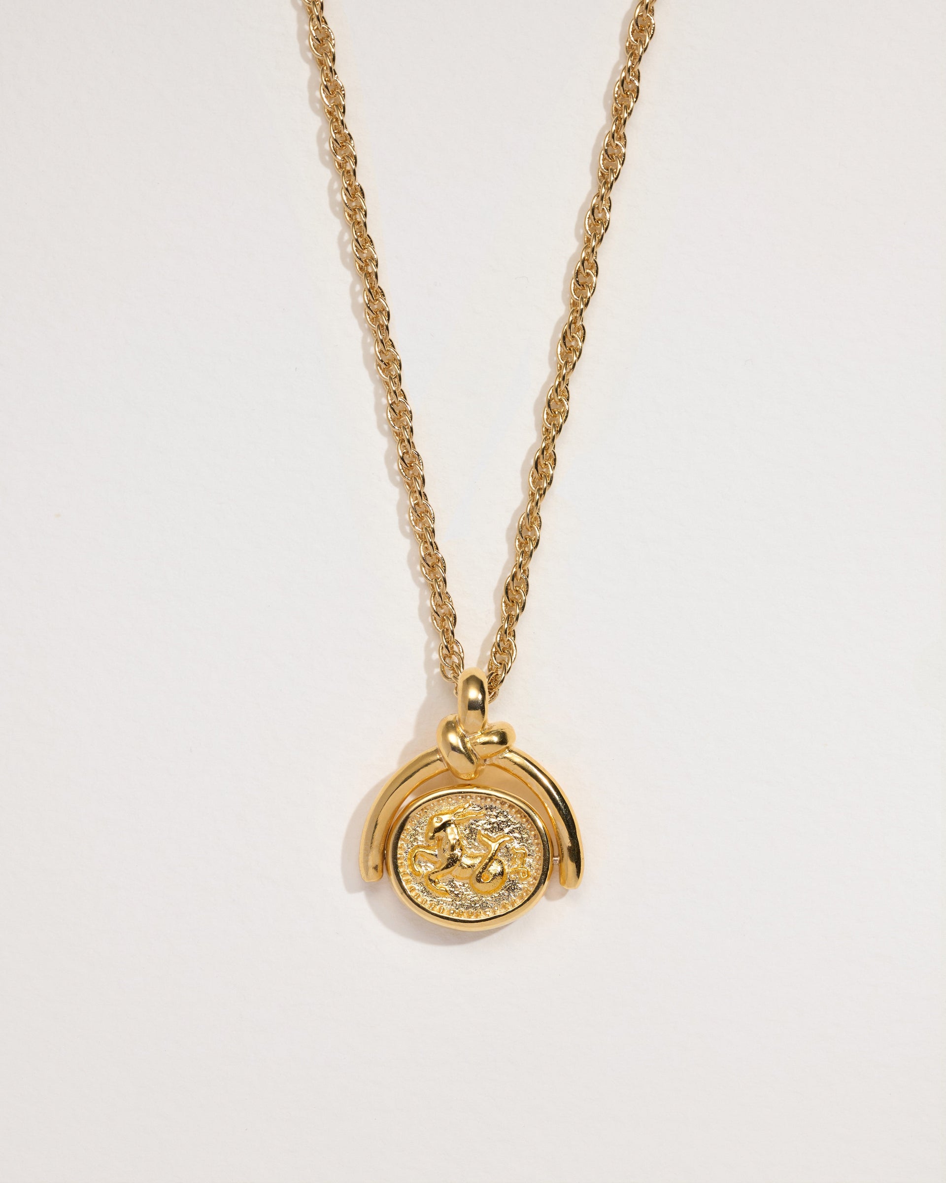 Capricorn Spinner Pendant