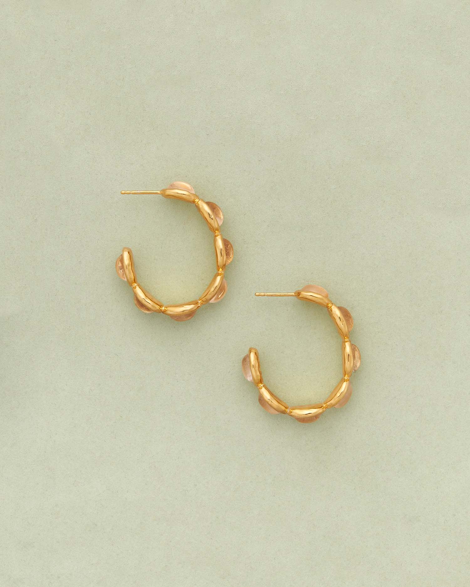 Claudia Hoops
