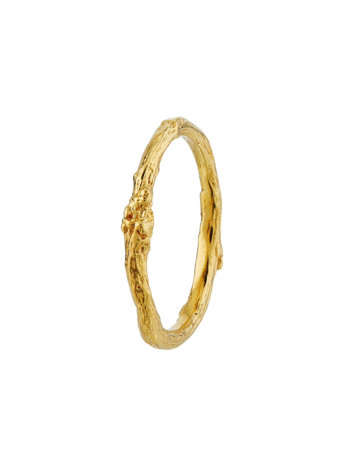 Birch Band 2mm