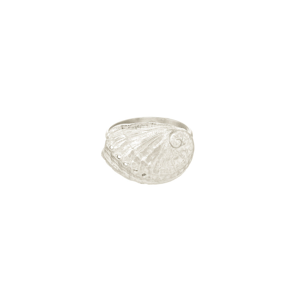 Abalone Shell Ring