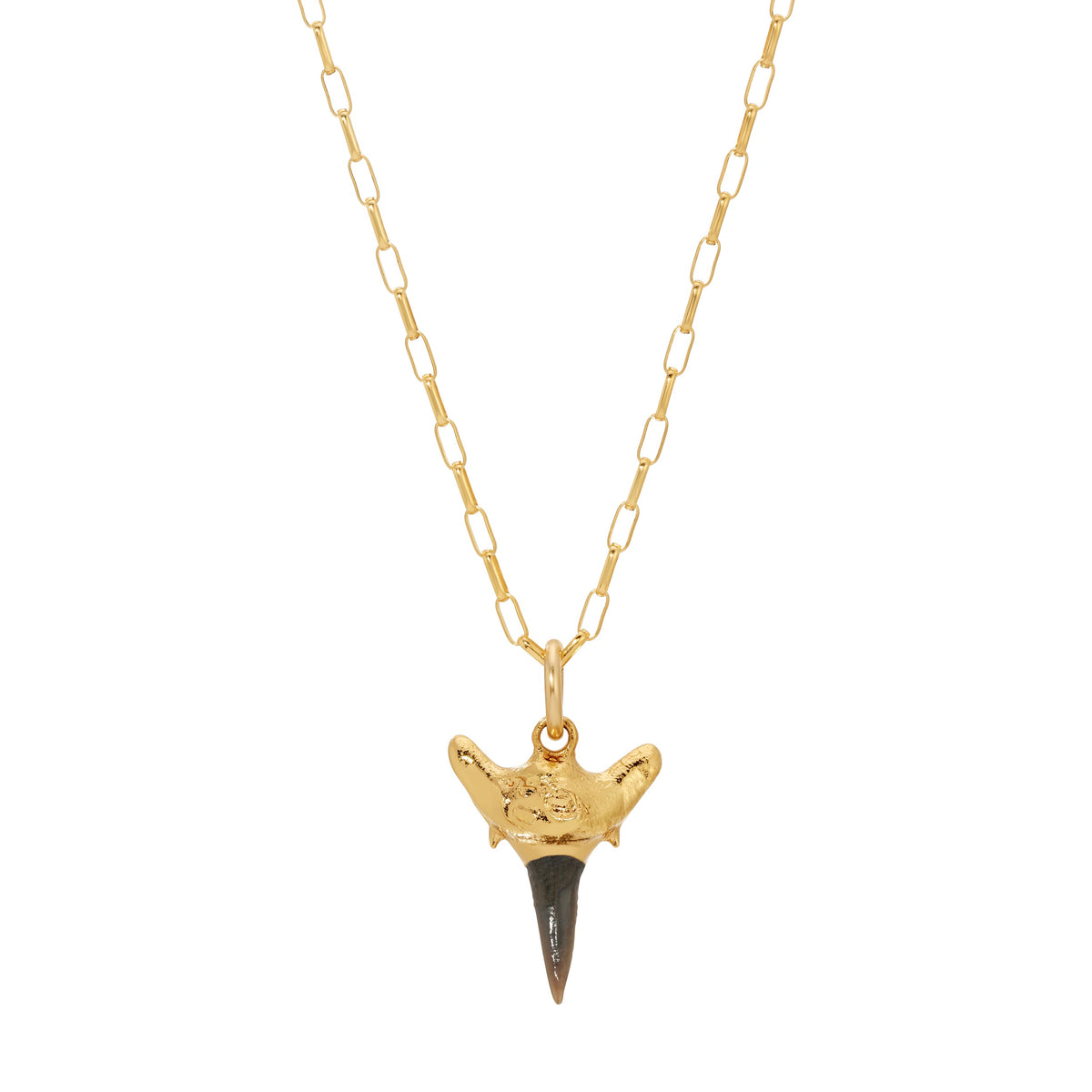 Shark Tooth Necklace
