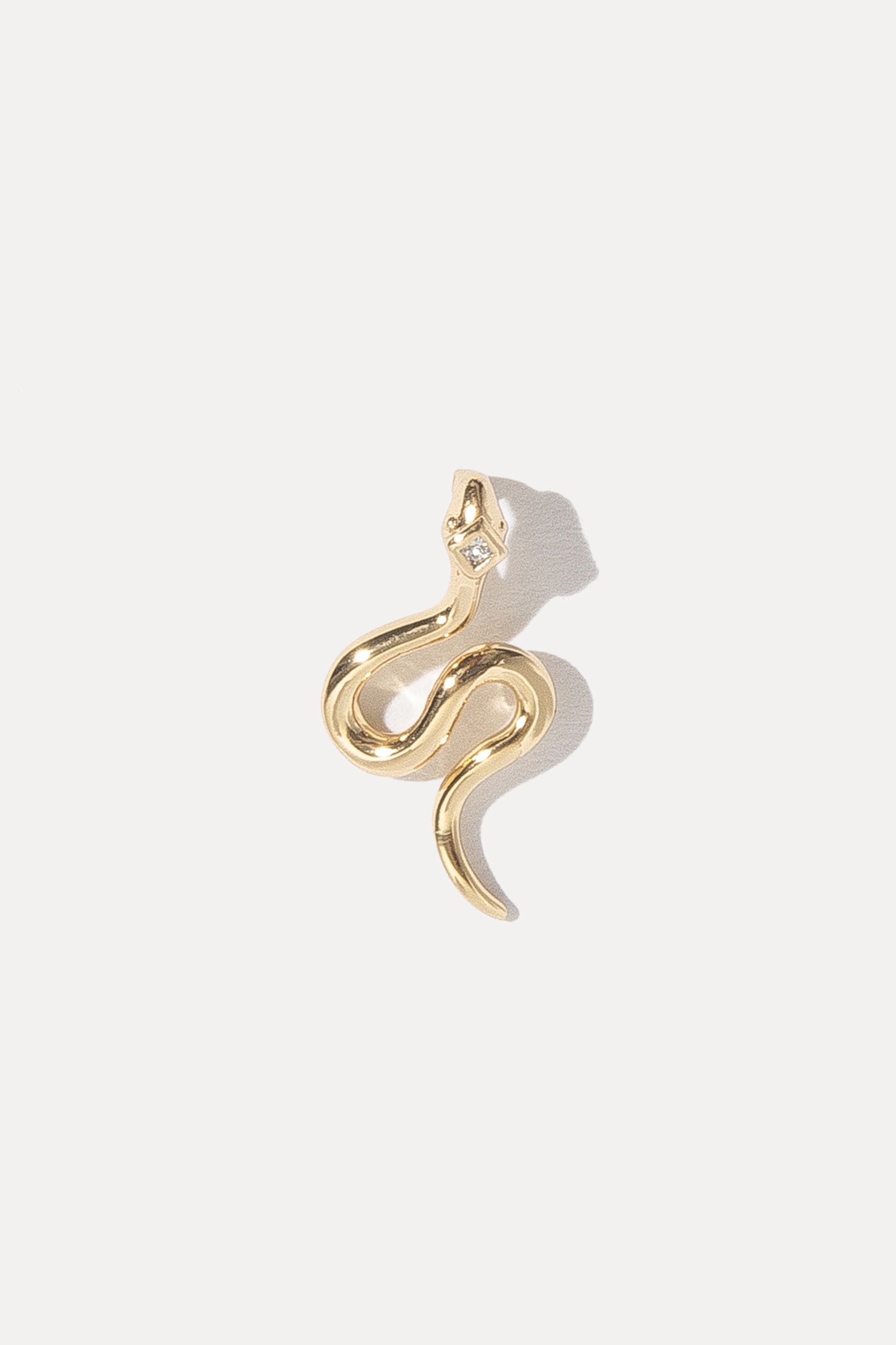 Snake Charm