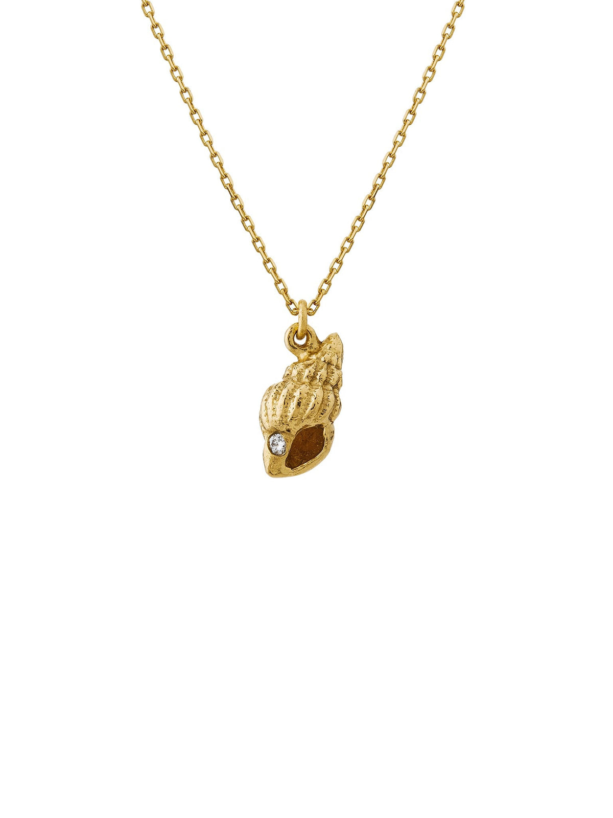 Teeny Tiny Shell Necklace