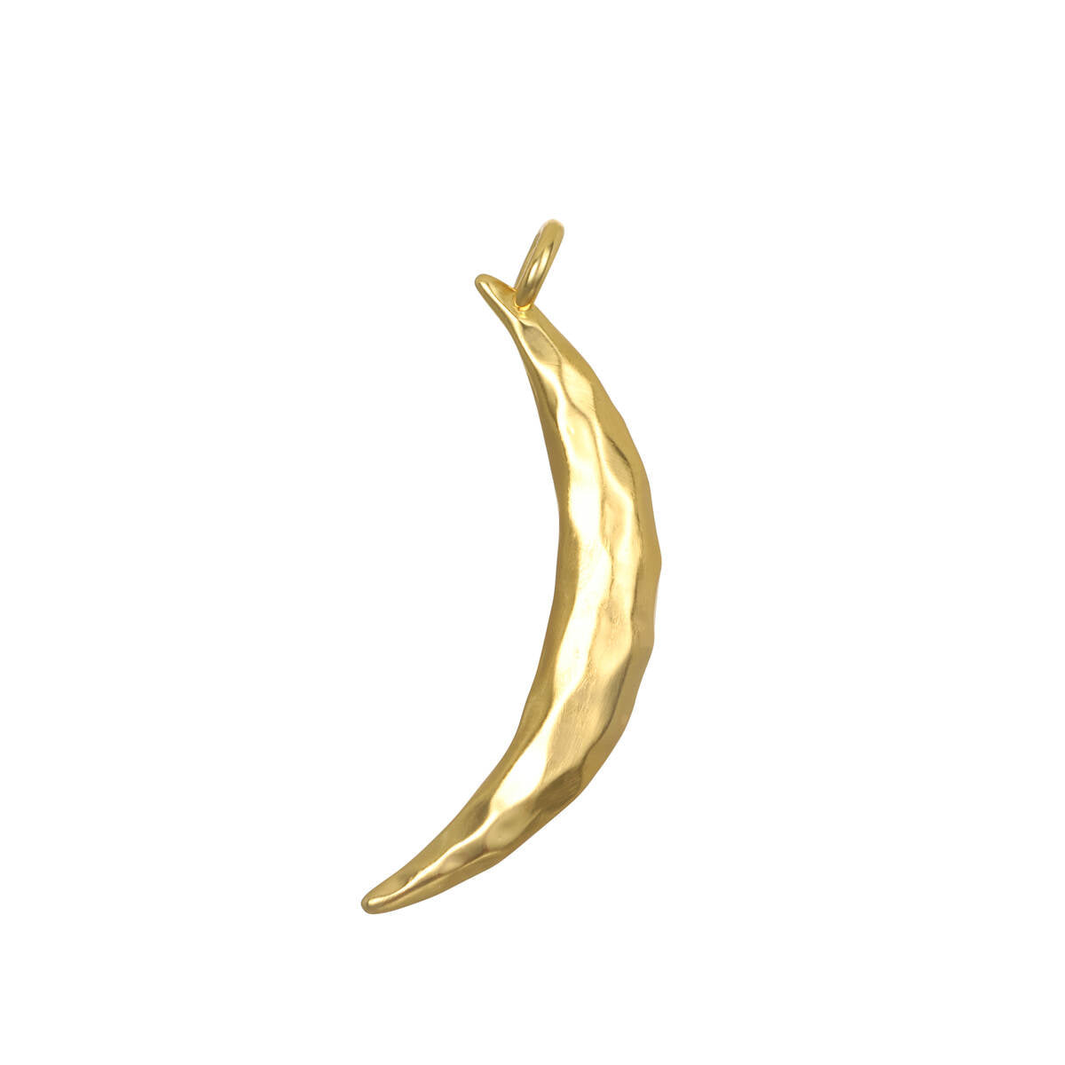 Taryn Truly Honor Your Growth Moon Charm