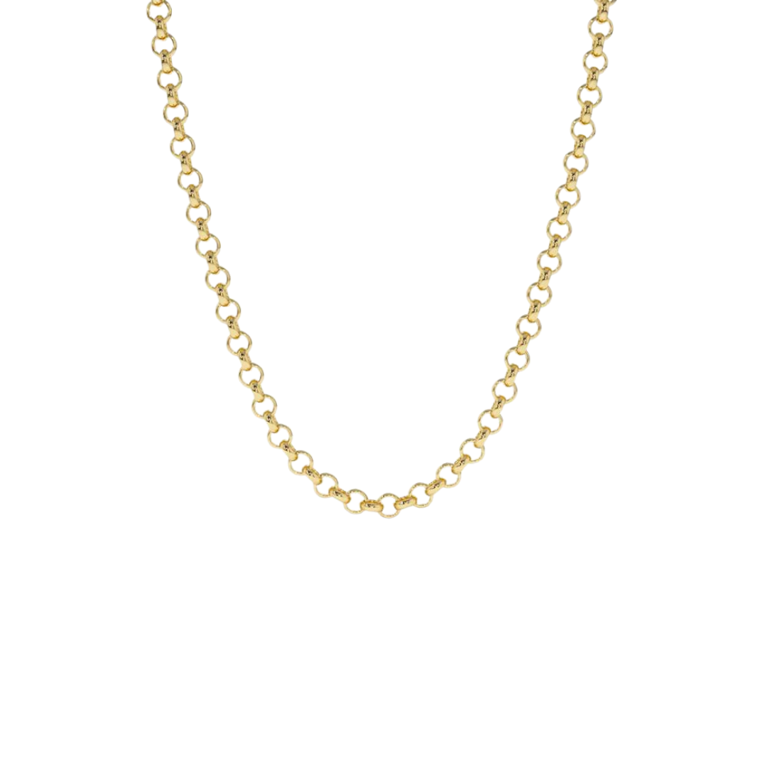 Gold Small Rolo Chain Necklace