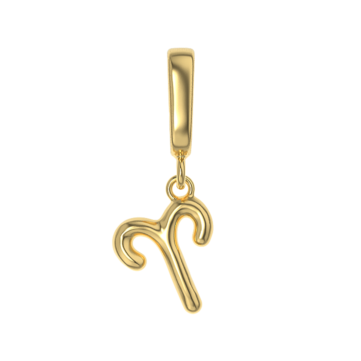 Zodiac Charms