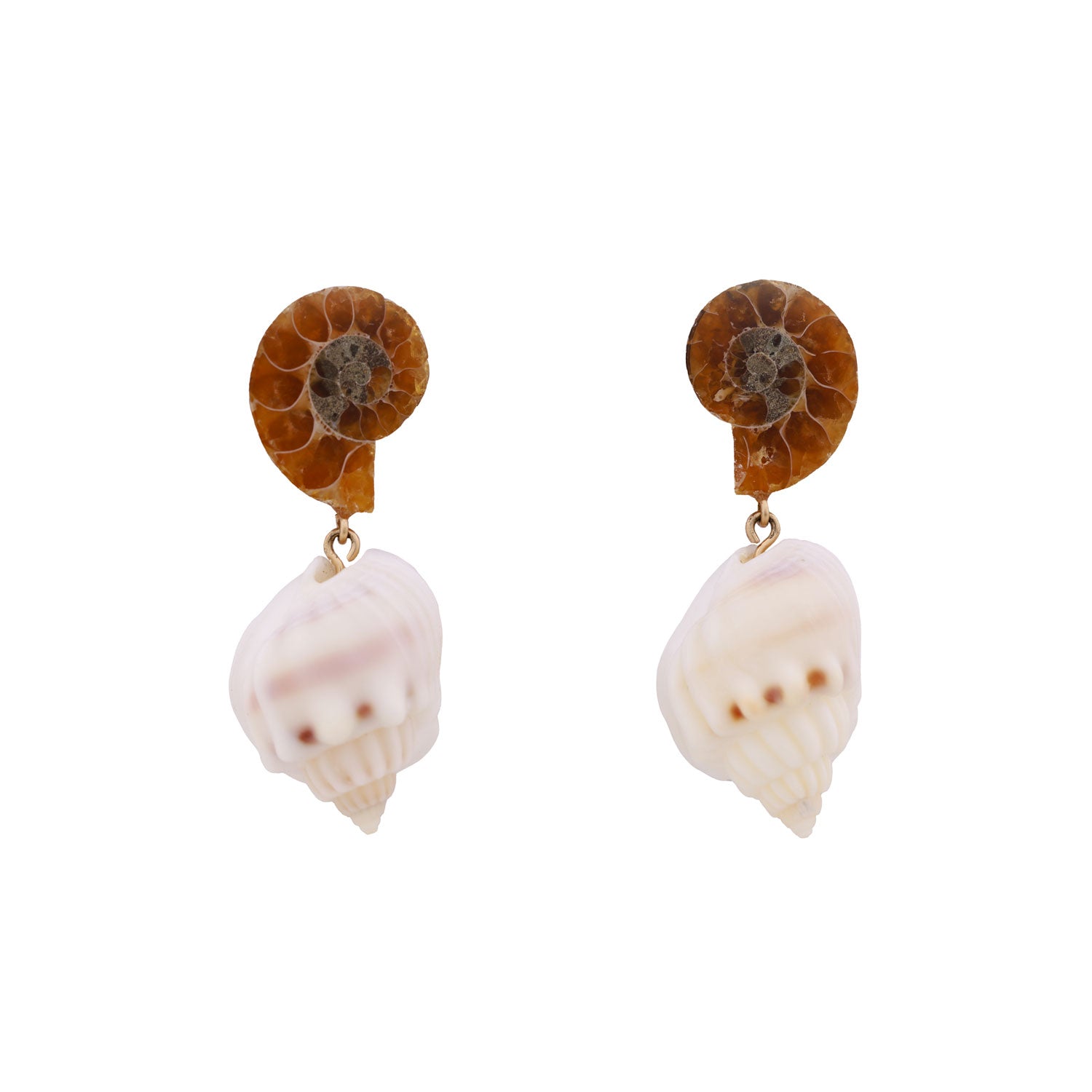 Ammonite Fossils White Seashells Shells Earrings Gold Studs