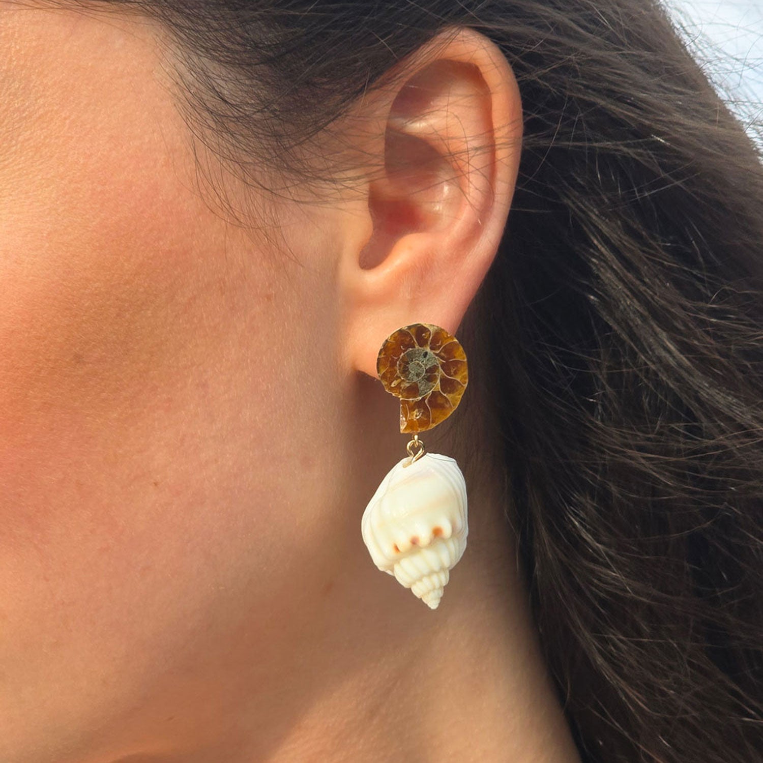 Ammonite Fossils White Seashells Shells Earrings Gold Studs