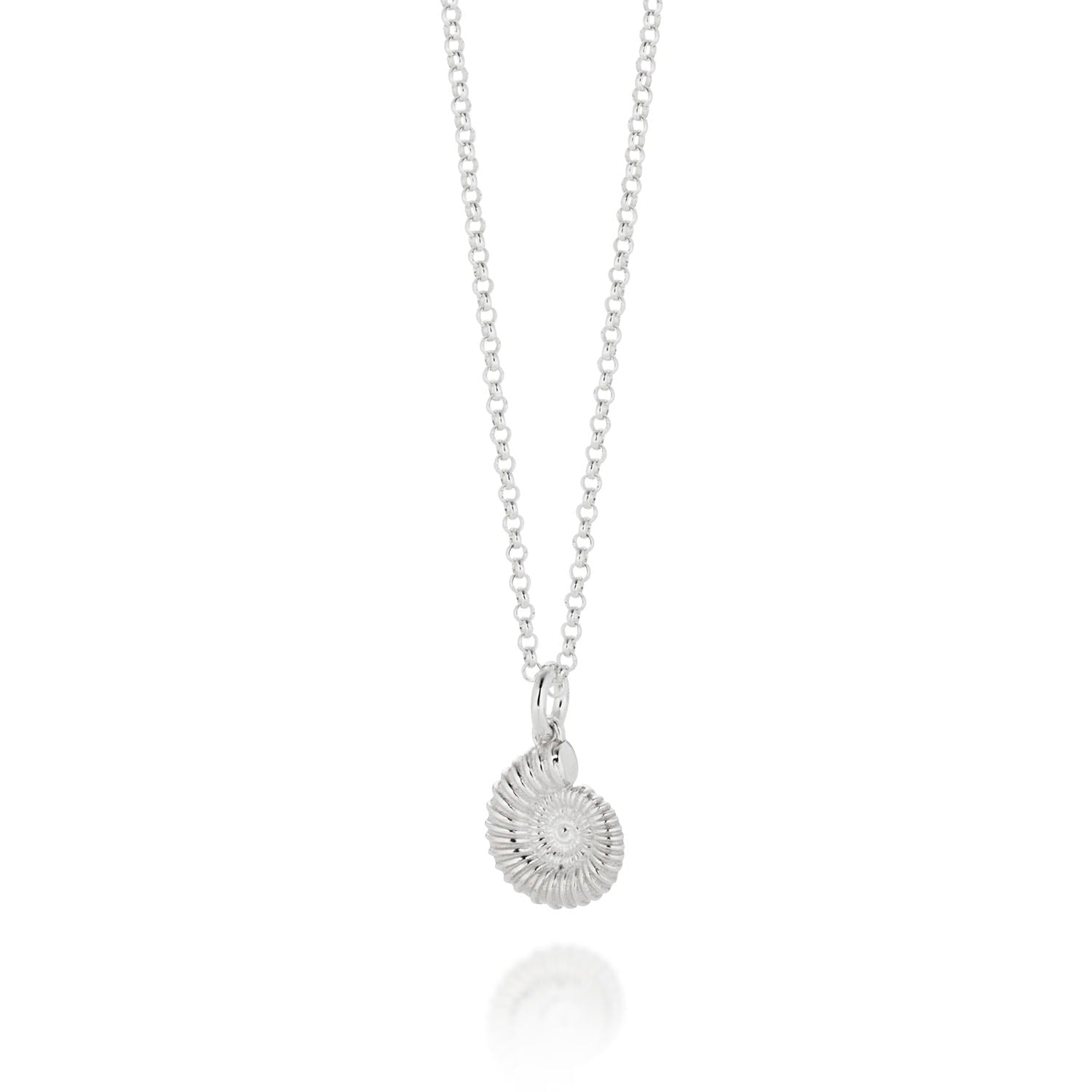 Ammonite Necklace Sterling Silver