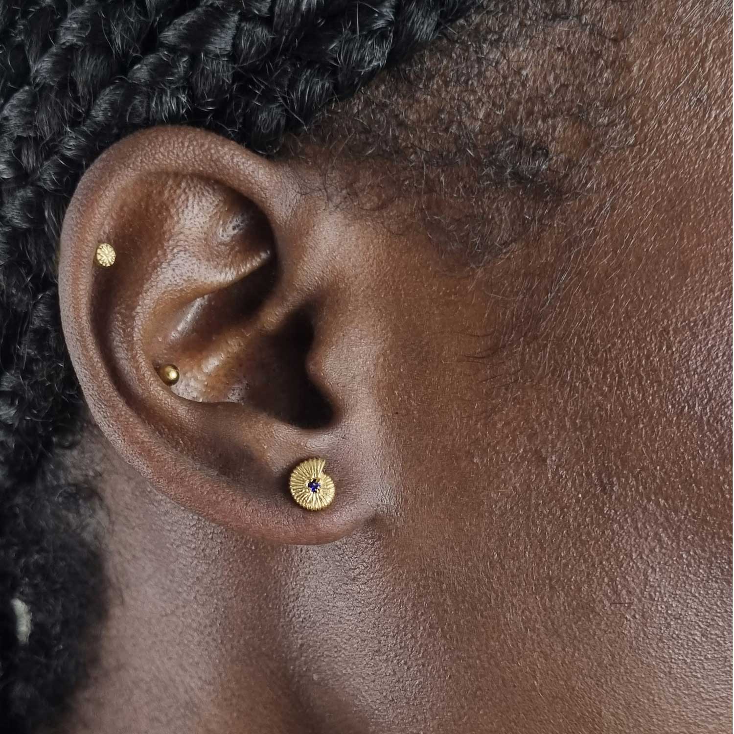 Ammonite Sapphire Earrings - Gold