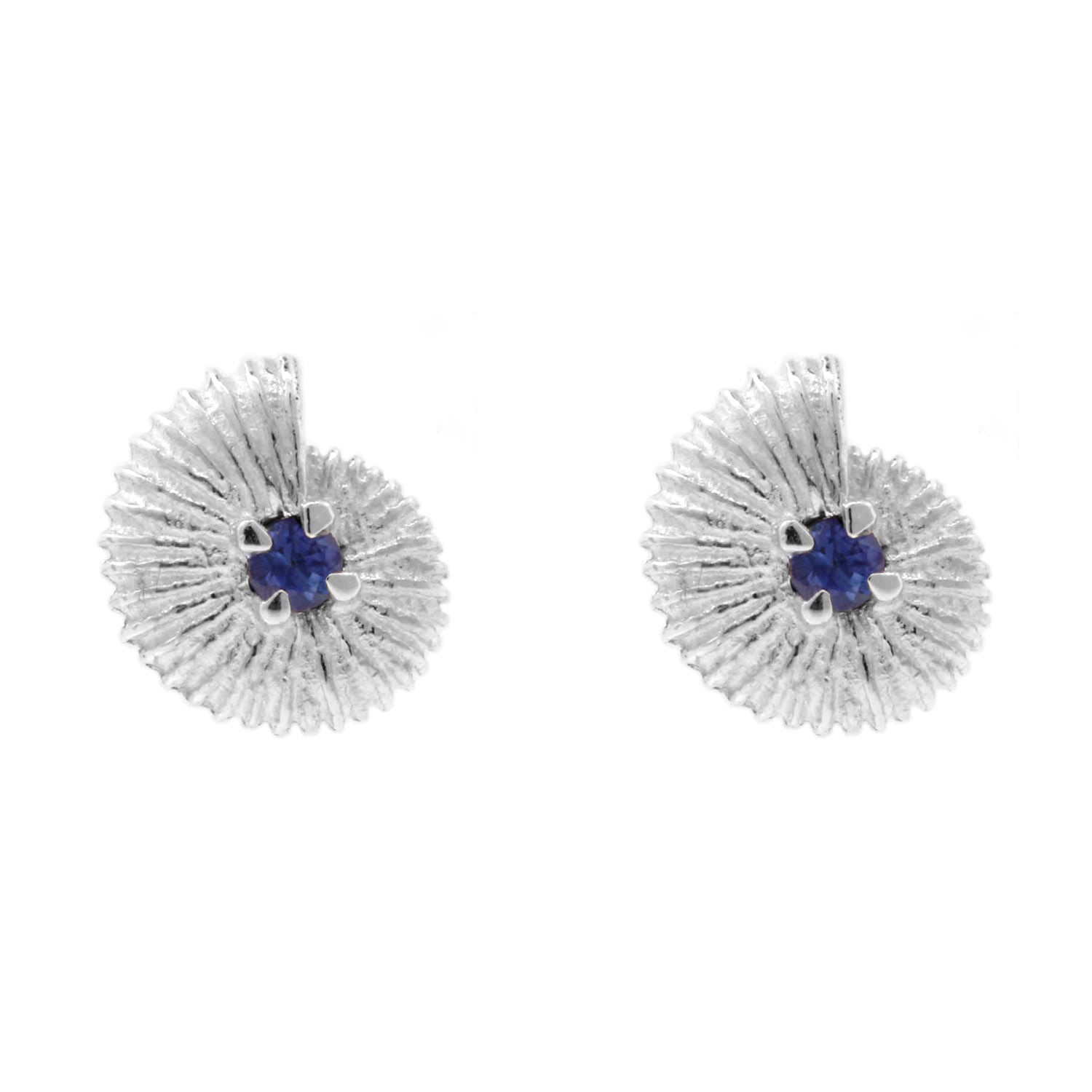 Ammonite Sapphire Earrings - Silver