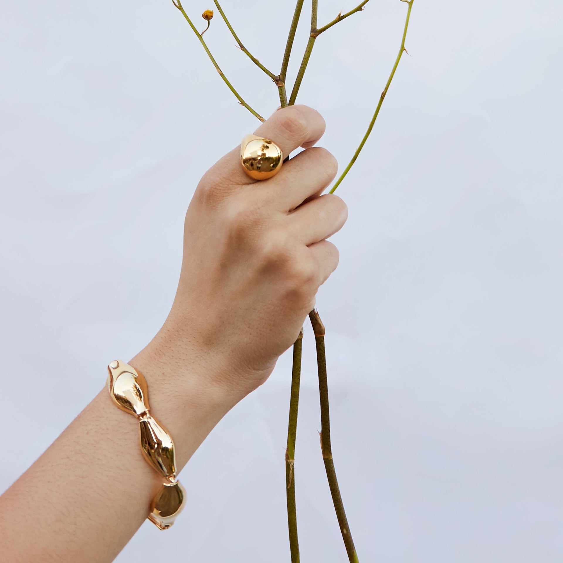 Amphora Bracelet - Gold
