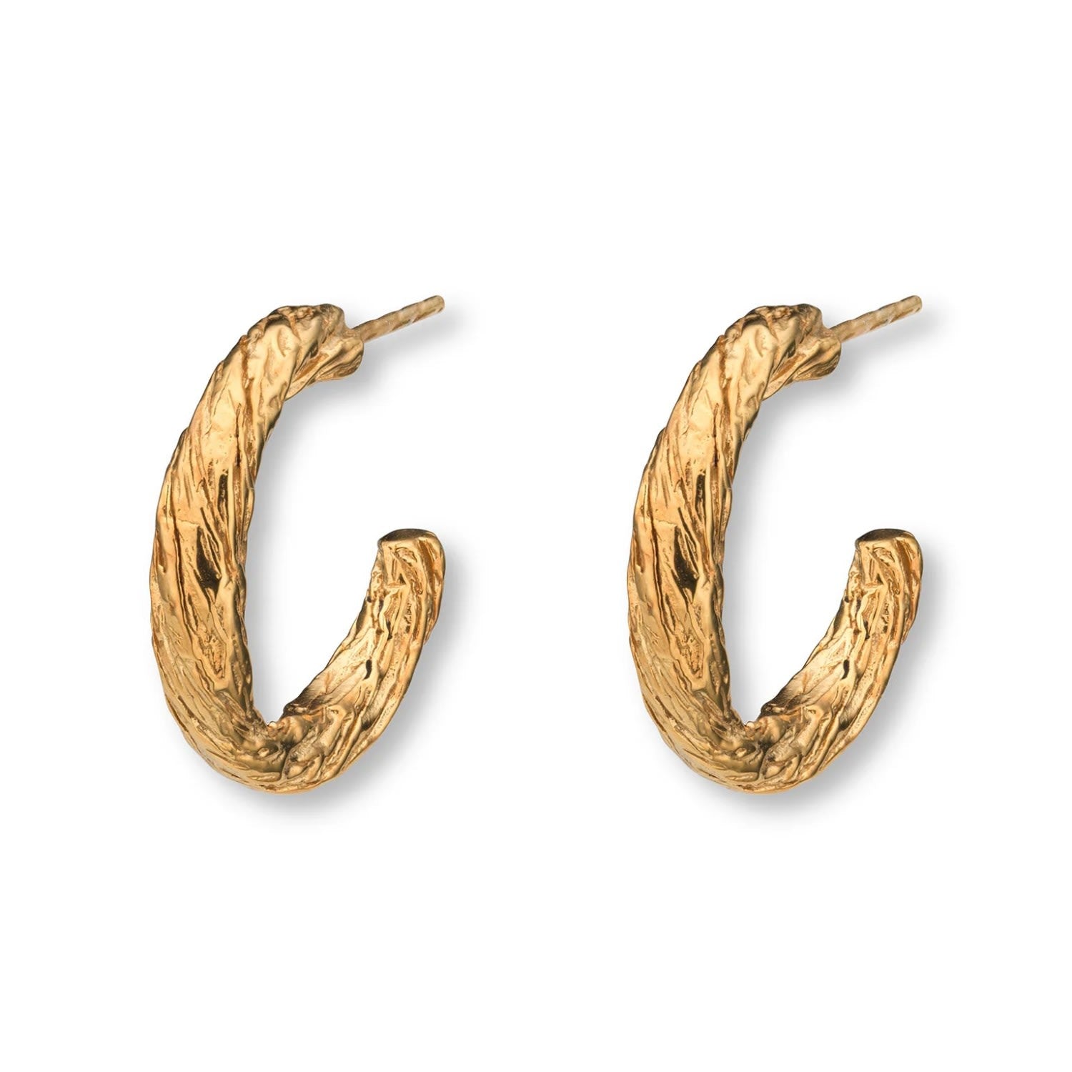 Archaic Small Hoop Earrings Gold