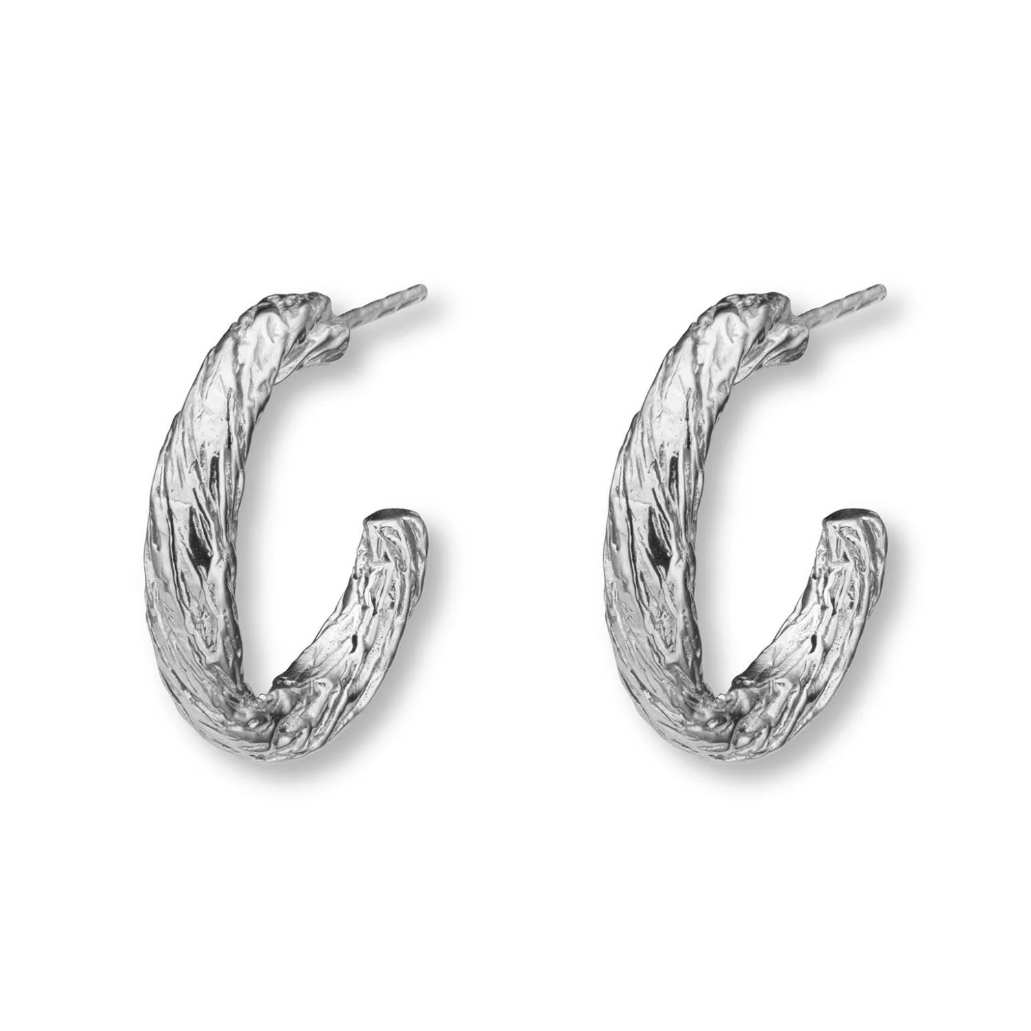 Archaic Small Hoop Earrings Silver
