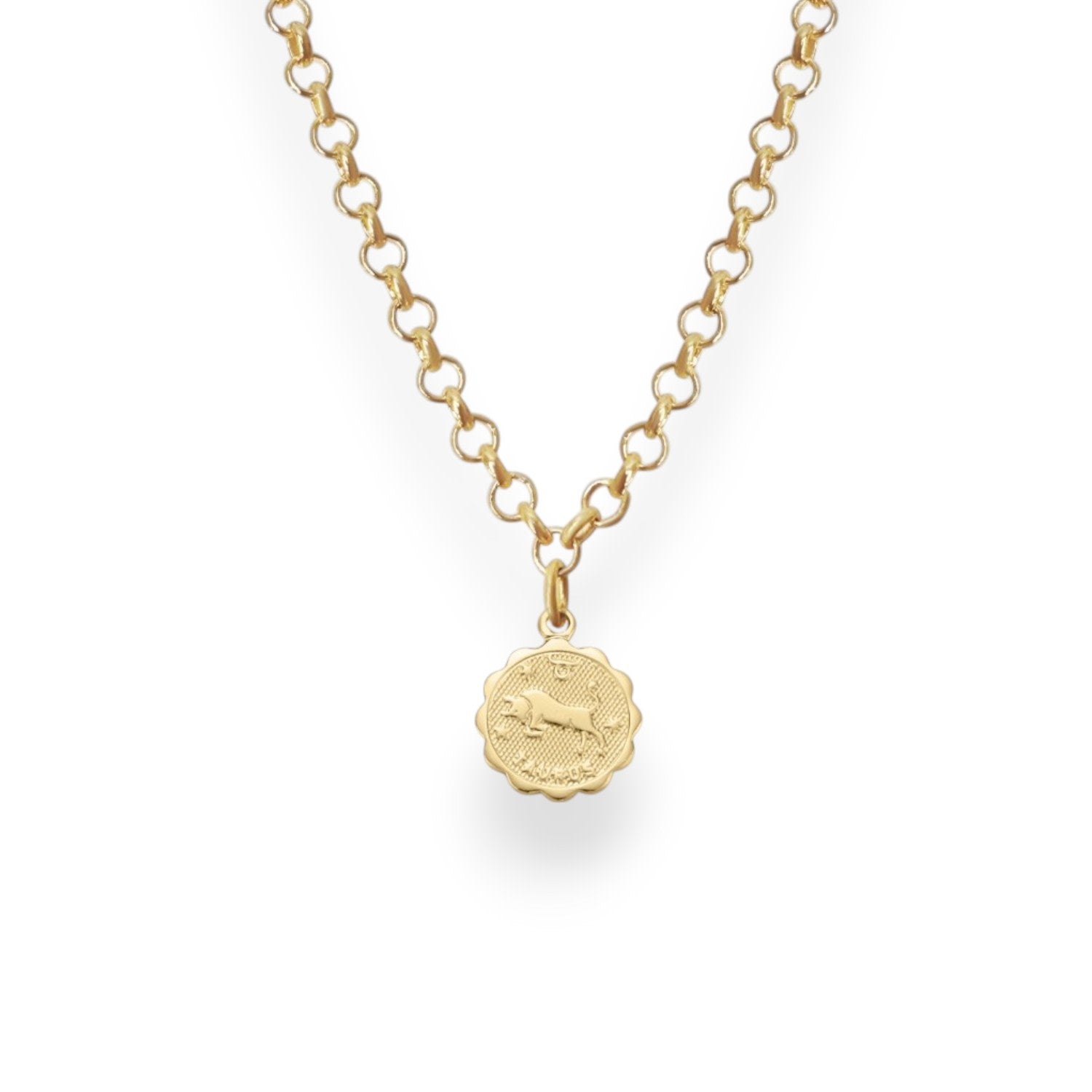 Taurus Zodiac Mini Medallion Chain Necklace