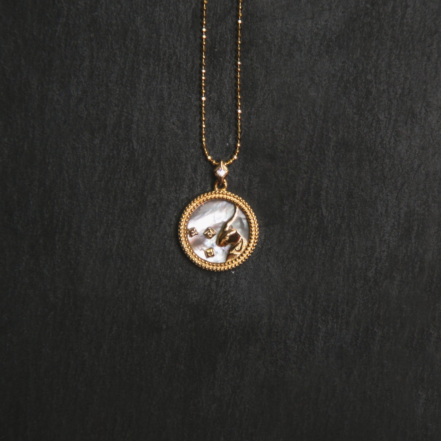 Asta Zodiac Star Sign Necklace - Mother Of Pearl Gold Plated Capricorn