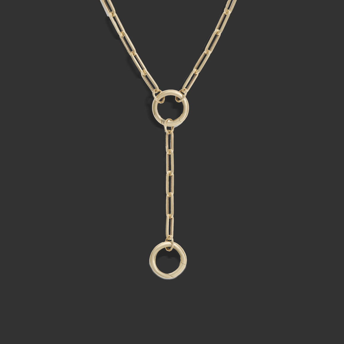 Lariat Collector Necklace