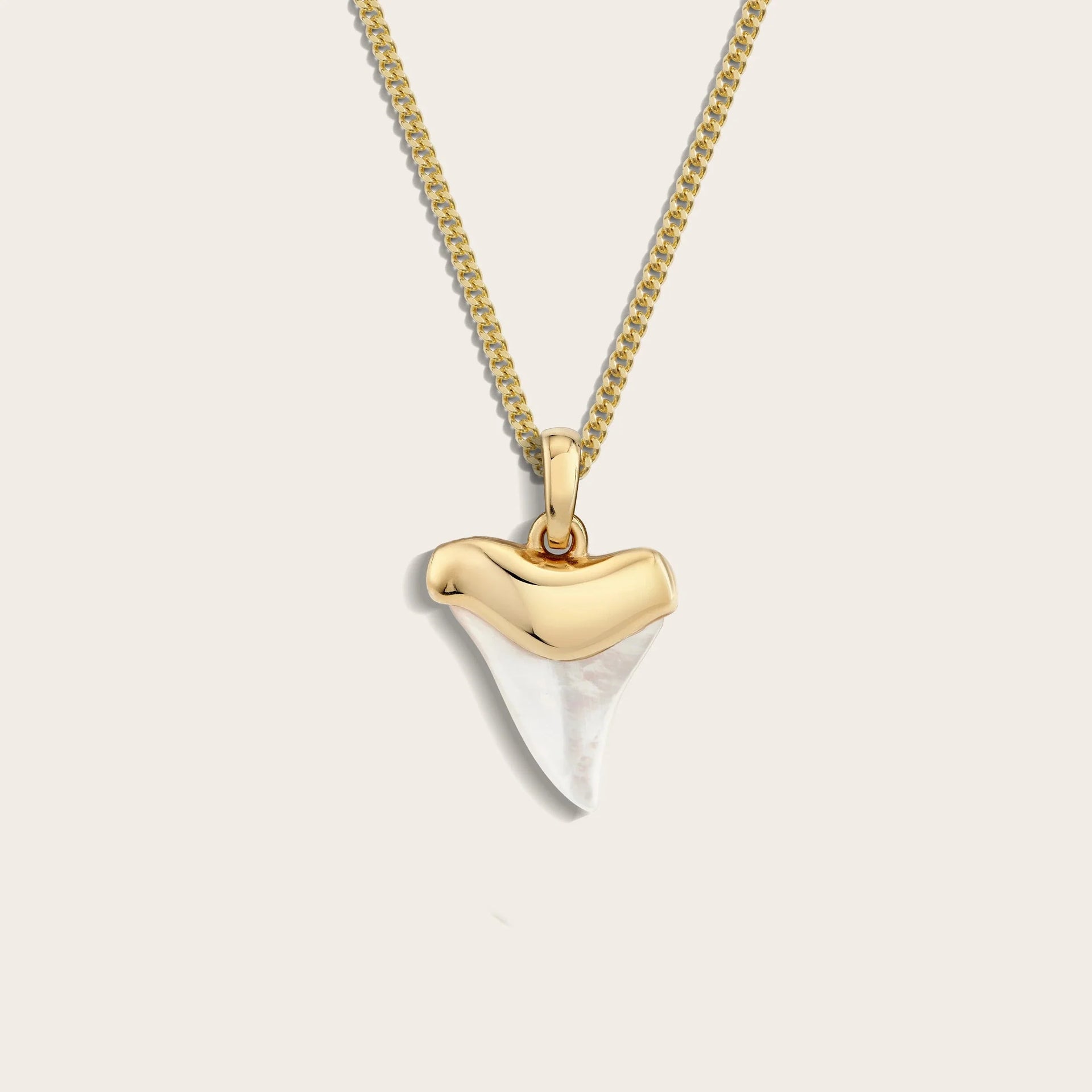 Shark Tooth Necklace