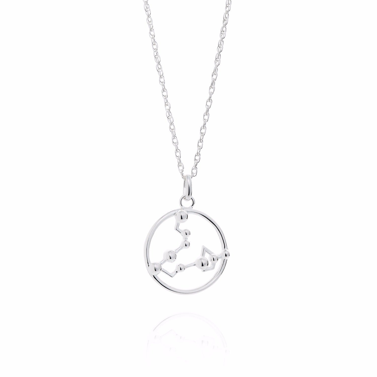 Pisces Astrology Necklace