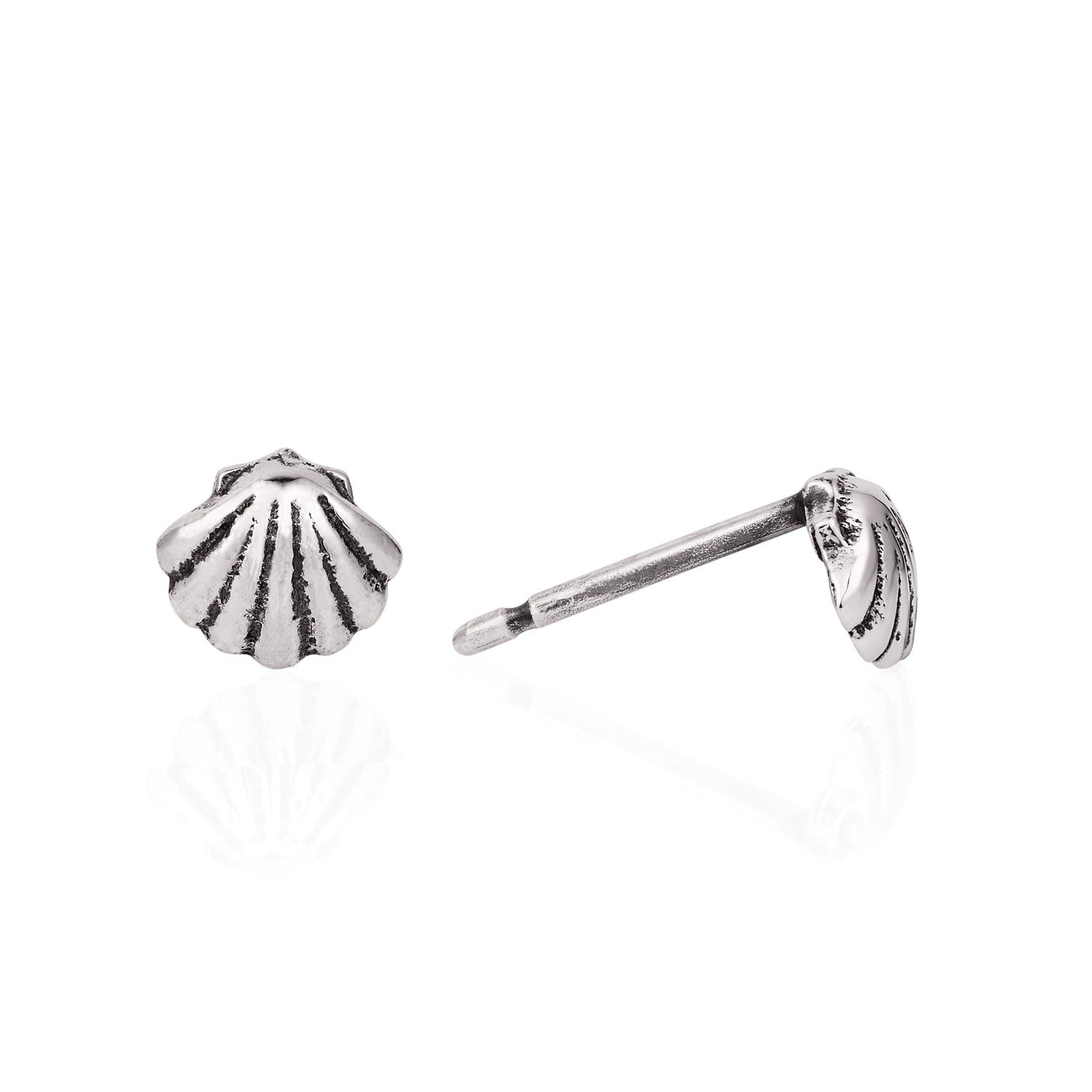 Shell Stud Earrings Silver