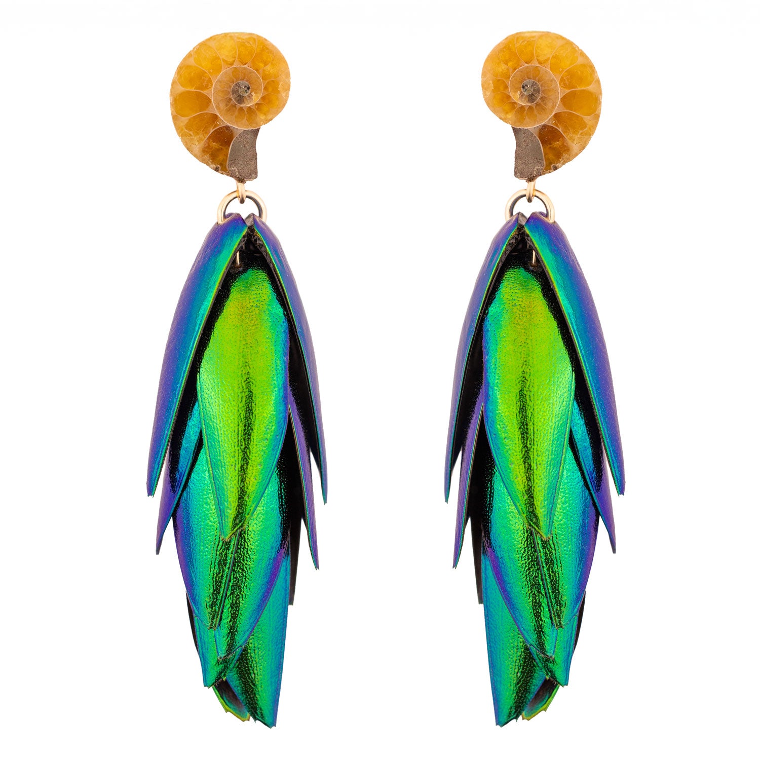 Beetle Earrings Gold Ear Studs Natural Recycled Green Wings Small Ammonite Fossils