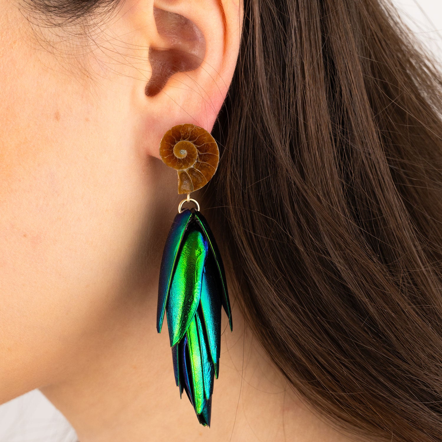 Beetle Earrings Gold Ear Studs Natural Recycled Green Wings Small Ammonite Fossils