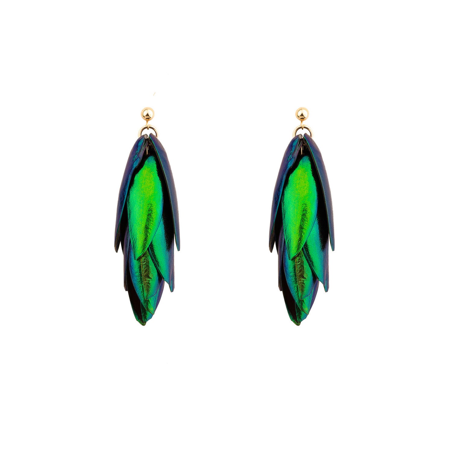 Beetle Wings Metallic Green Natural Recycled Scarab Wings & Gold Earrings