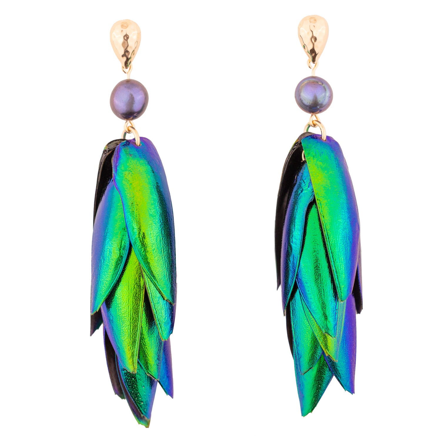 Beetle Wings Metallic Green Earrings Peacock Freshwater Pearls Gold Drop Ear Studs