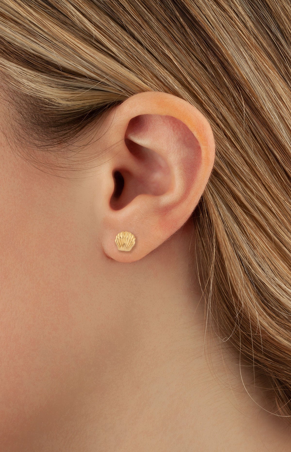 14K Yellow Gold Seashell Earrings