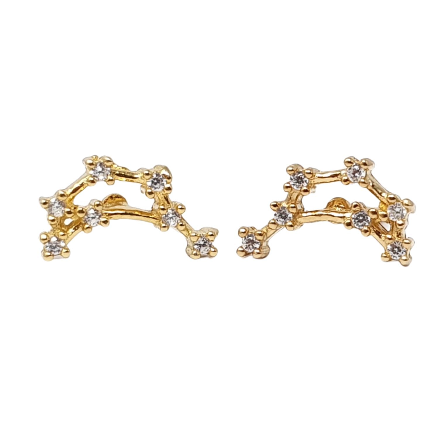 Capricorn Star Sign Constellation Astrology Earrings