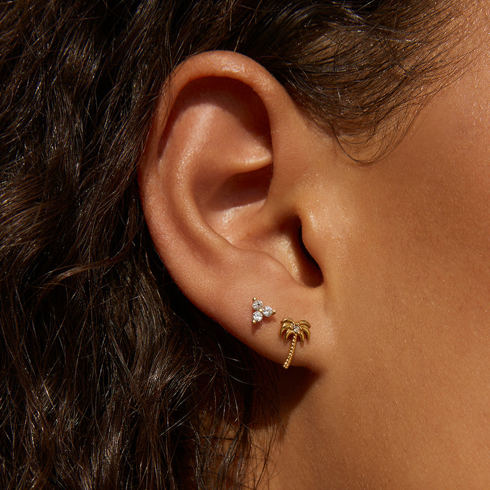 Cassia Stud Earrings