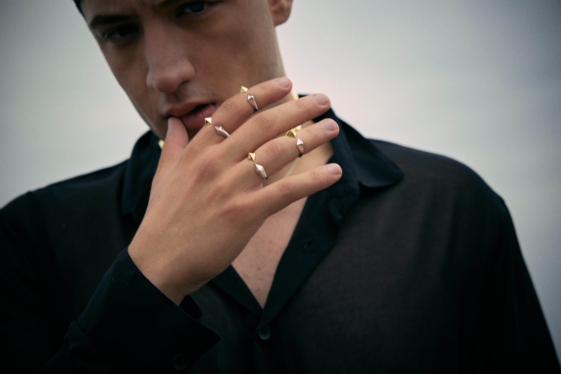 Chameleon Ring Gold And Silver