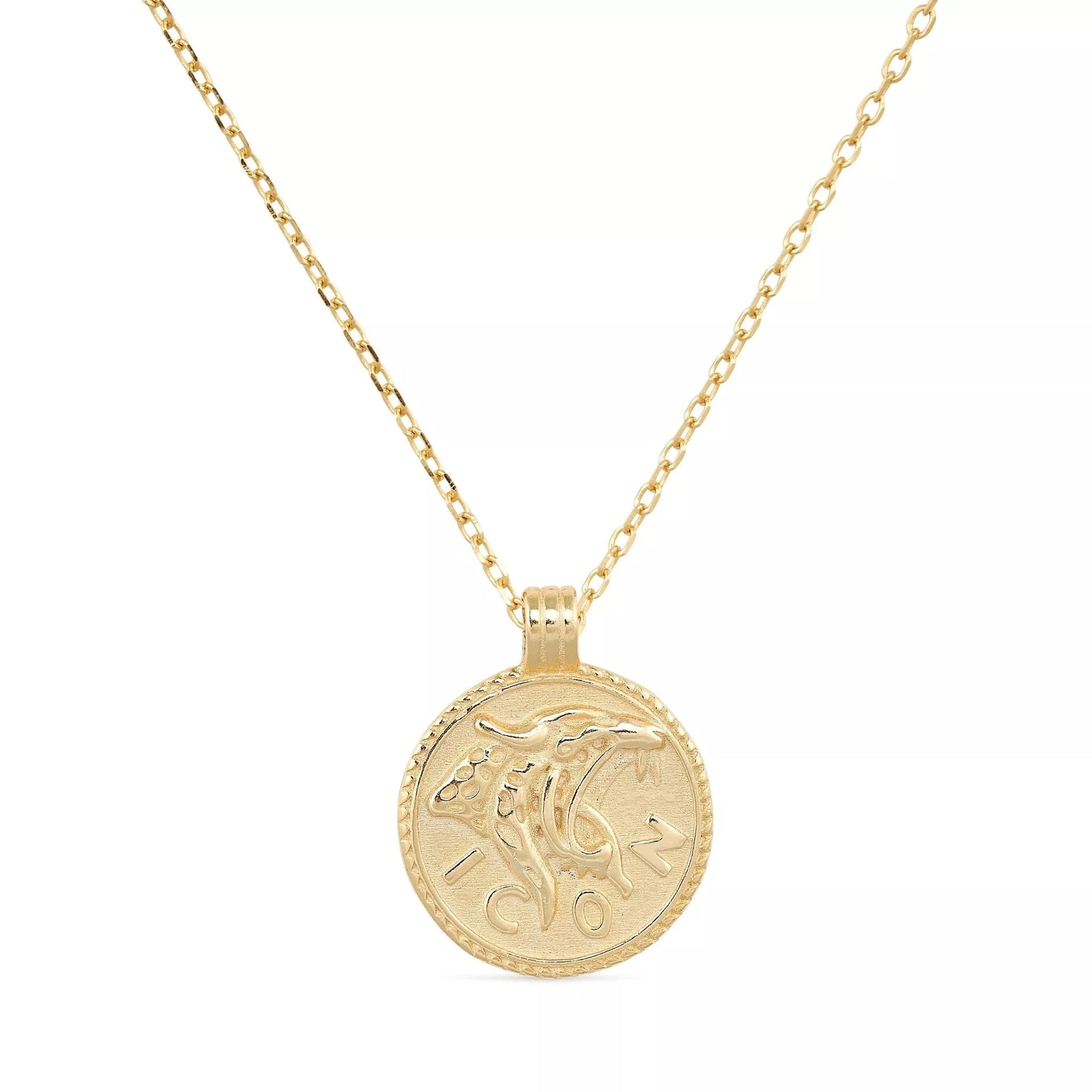 Chunky Gold Leo Coin Necklace