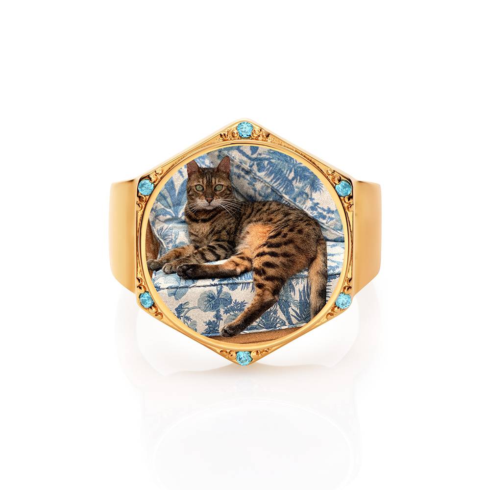 Hexagon Photo Ring in Gold Finish - Nicky Hilton Collection - Image ring