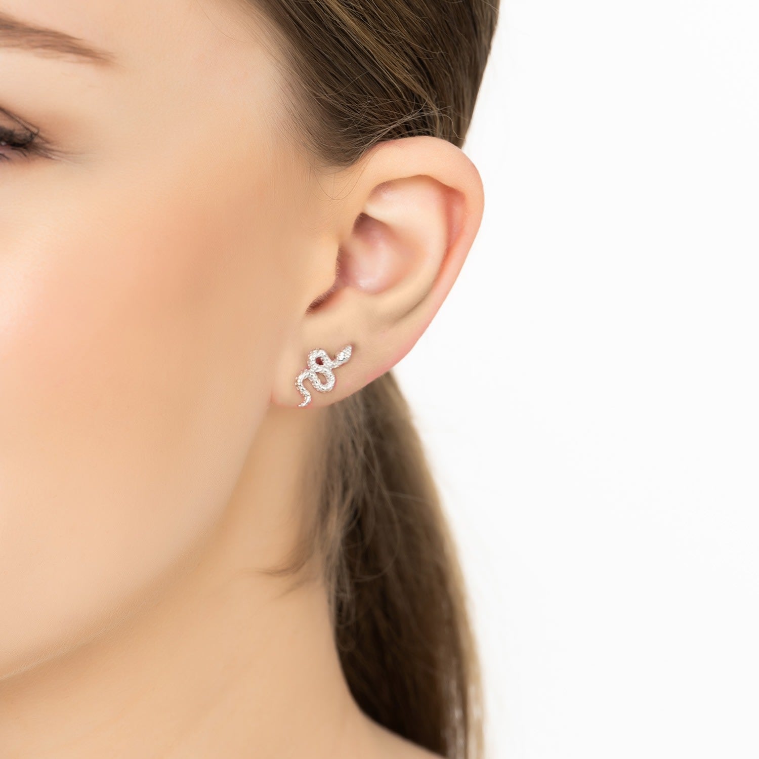 Coiled Cobra Snake Stud Earrings Silver