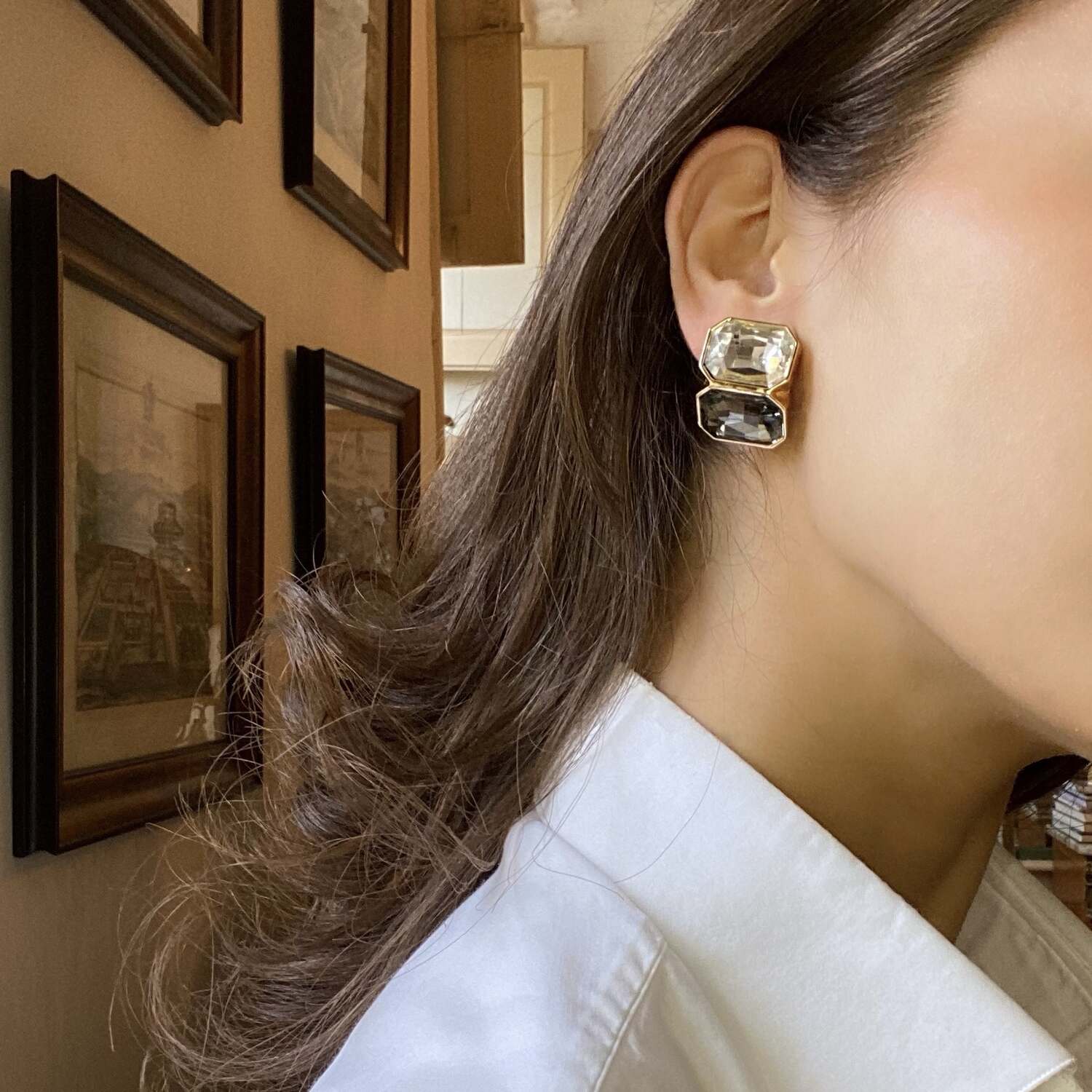 Crystal And Black Diamond Double Stone Clip Earrings