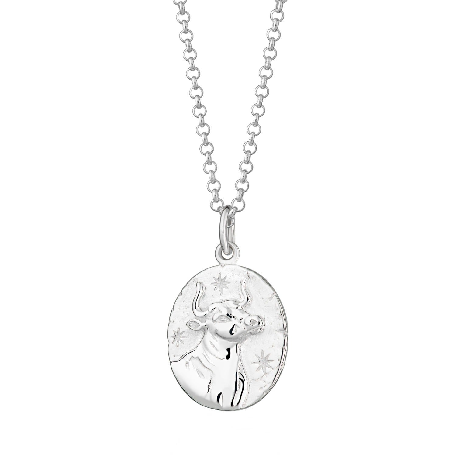 Silver Taurus Zodiac Charm Necklace