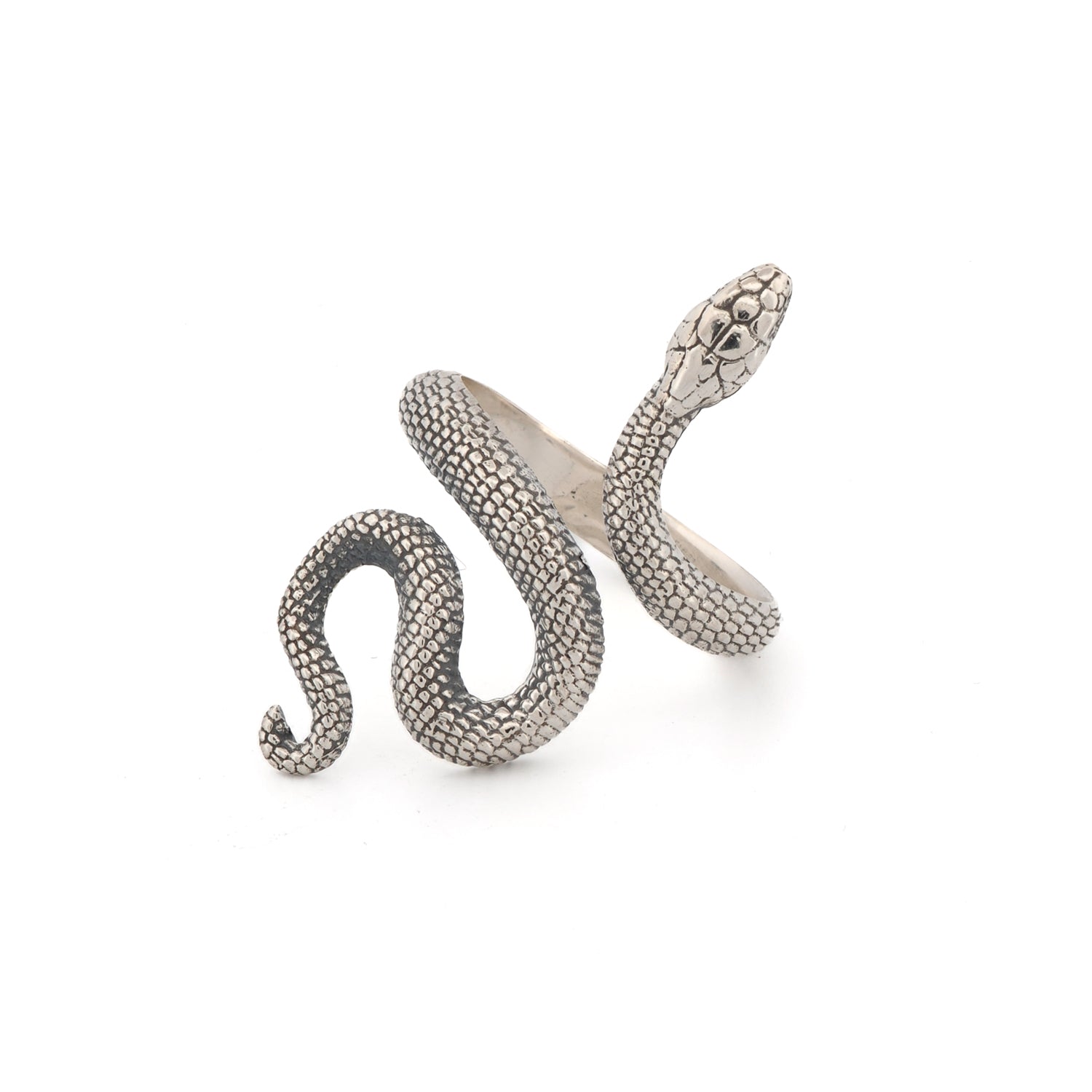 Cycle Of Life Snake Sterling Silver Ring - Silver