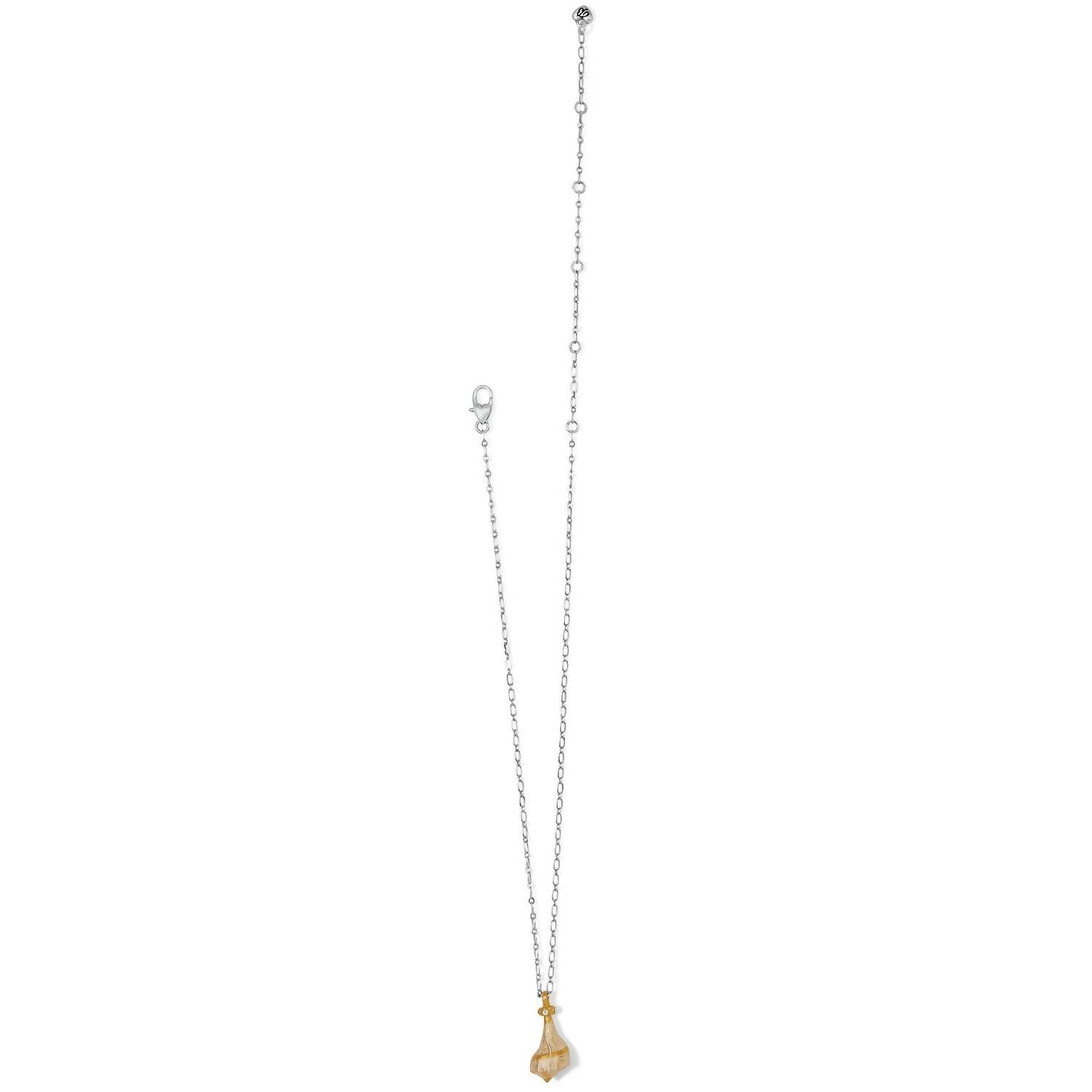 Women's Lightening Whelk Shell Necklace In Gold
