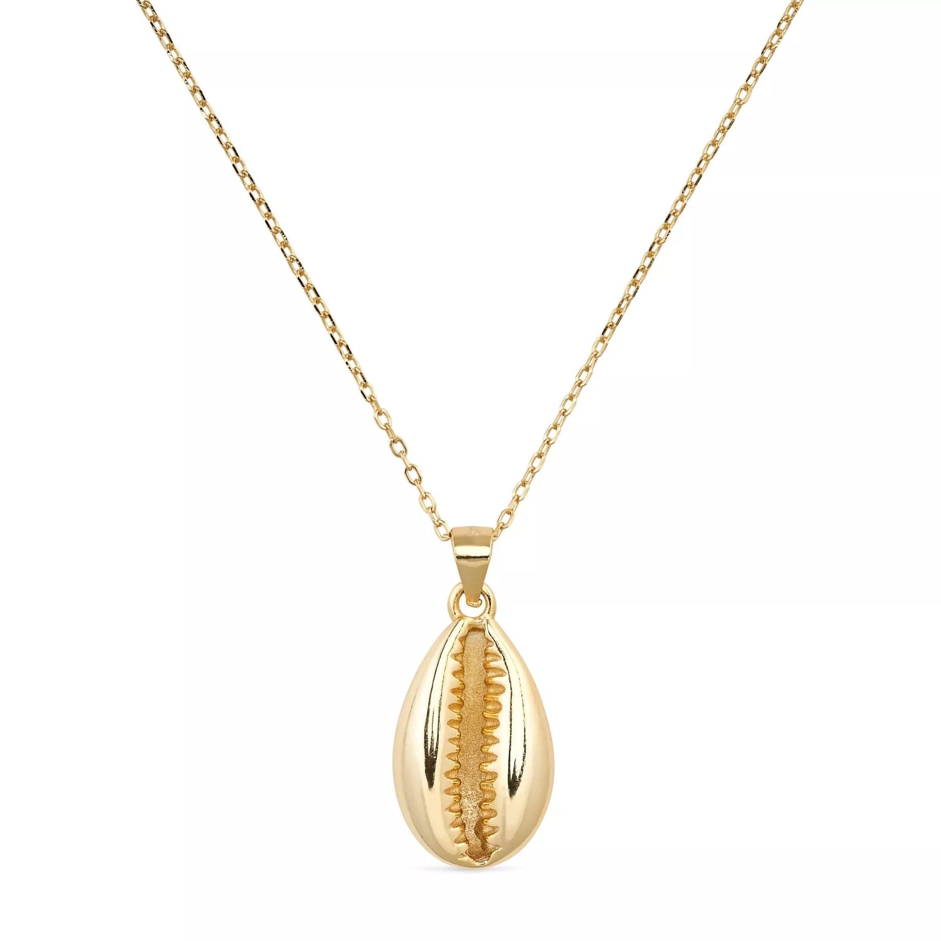 Dainty Gold Cowrie Shell Clam Necklace